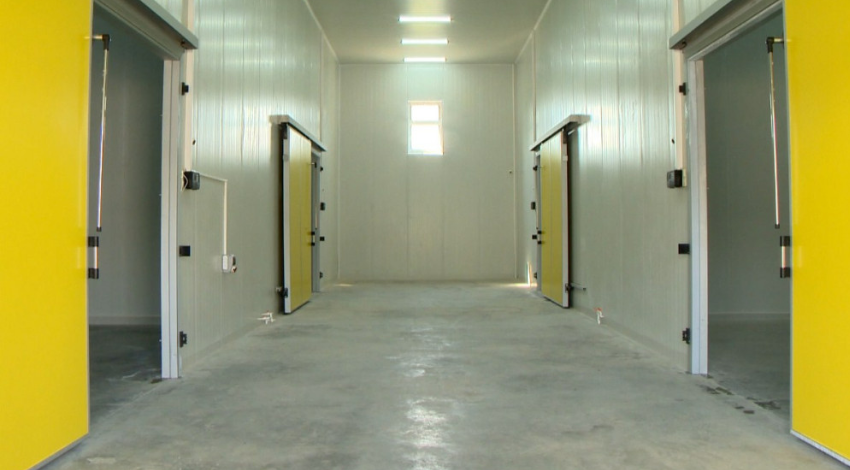 Müasir Soyuducu Anbar Xidmətləri